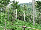 IMG_1335.jpg