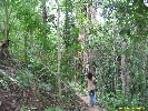 IMG_1337.jpg