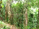 IMG_1338.jpg