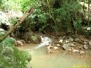 IMG_1343.jpg