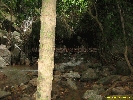IMG_1345.jpg