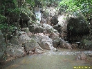IMG_1346.jpg