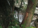 IMG_1347.jpg