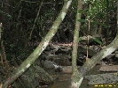 IMG_1348.jpg