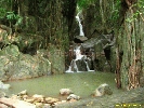 IMG_1350.jpg