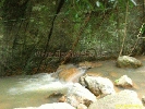 IMG_1353.jpg
