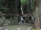 IMG_1356.jpg