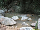 IMG_1358.jpg