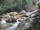 IMG_1375.jpg