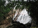 IMG_1377.jpg