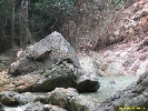 IMG_1379.jpg