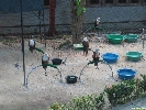IMG_1478.jpg
