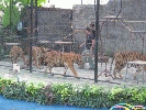 IMG_1479.jpg