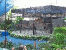 IMG_1480.jpg