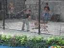 IMG_1484.jpg