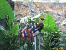 IMG_1493.jpg