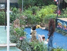 IMG_1494.jpg
