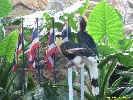 IMG_1495.jpg