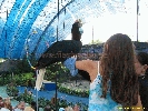 IMG_1497.jpg
