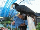 IMG_1498.jpg