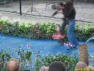 IMG_1503.jpg