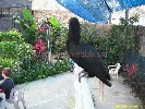 IMG_1505.jpg