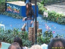 IMG_1506.jpg