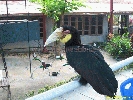IMG_1507.jpg