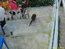 IMG_1508.jpg