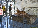 IMG_1510.jpg