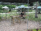 IMG_1511.jpg