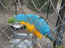 IMG_1512.jpg