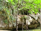 IMG_2181.jpg