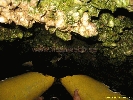 IMG_2184.jpg