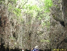 IMG_2186.jpg