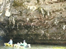 IMG_2194.jpg