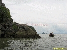 IMG_2197.jpg