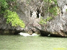 IMG_2202.jpg