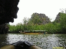 IMG_2203.jpg