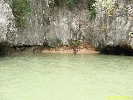 IMG_2204.jpg