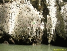 IMG_2207.jpg
