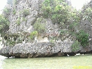 IMG_2209.jpg