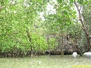 IMG_2210.jpg