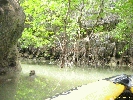 IMG_2214.jpg