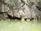 IMG_2215.jpg