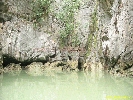 IMG_2216.jpg