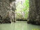 IMG_2217.jpg