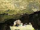 IMG_2219.jpg