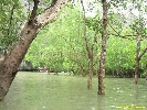 IMG_2220.jpg