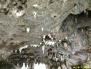 IMG_2223.jpg